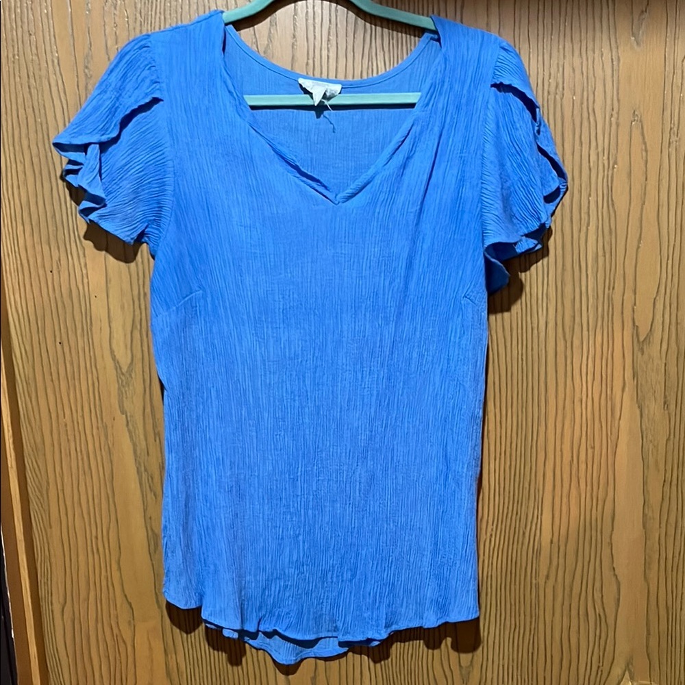 Perch by Blu Pepper blue textured top, size 1X